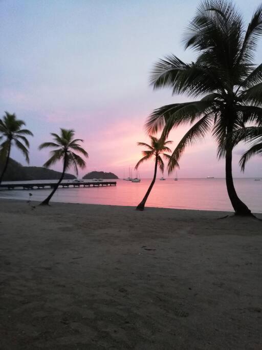 Appartamento Ti' Papaye Anse A L'Ane Les Trois-Ilets Esterno foto