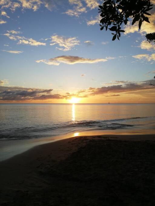 Appartamento Ti' Papaye Anse A L'Ane Les Trois-Ilets Esterno foto